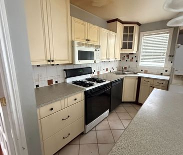 For Lease - 24 Eastwood Drive Unit# Main, Welland, Ontario - Photo 4