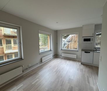 Klättergatan 9 – 2 rok (1401) - Foto 1