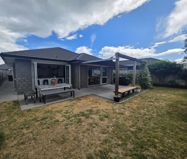 Dive into Dunkeld - Papamoa - Photo 4