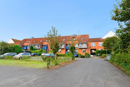 Afd. 21 Centrumgården - Photo 4