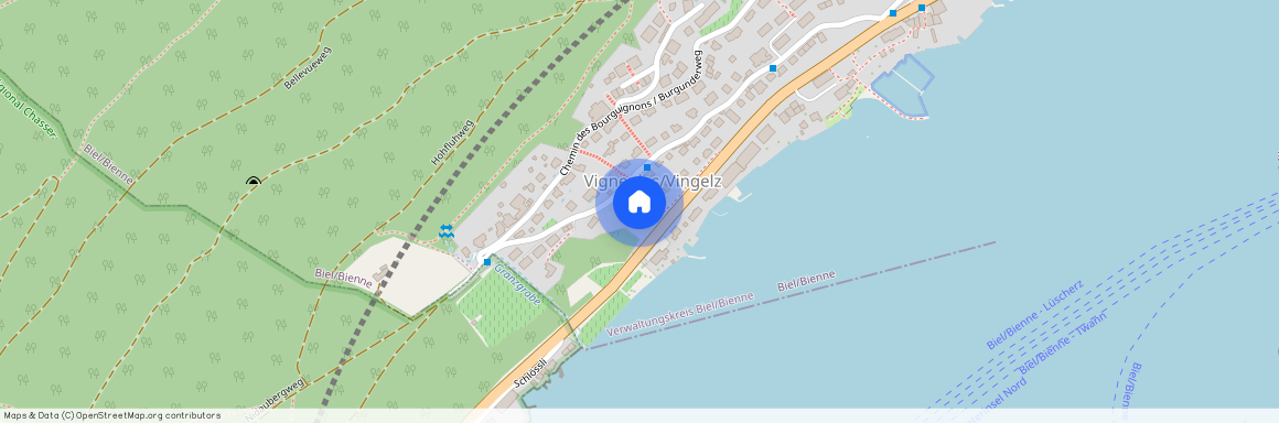 2505, Biel/Bienne, Route De La Montagne-De-Diesse / Tessenbergstrasse, 24b