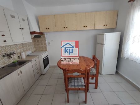 Διαμέρισμα για ενοικίαση Συνοικισμός (Λέσβος - Μυτιλήνη) - Φωτογραφία 5