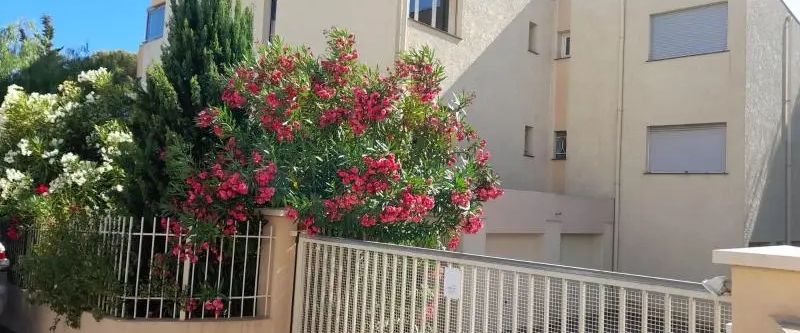 Appartement à louer 2 pièces 37.8m² - Photo 1