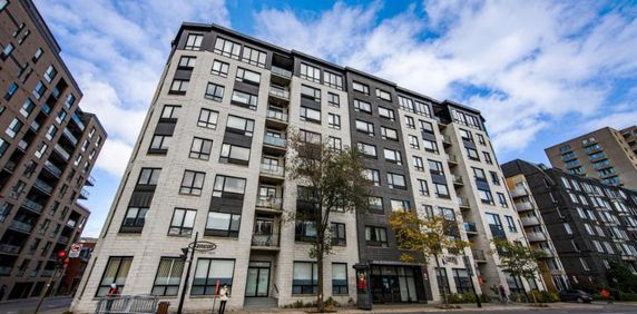 3 1/2 - Montréal (Ville-Marie (Centre-ville)) - 1 600 $/mois - Photo 2