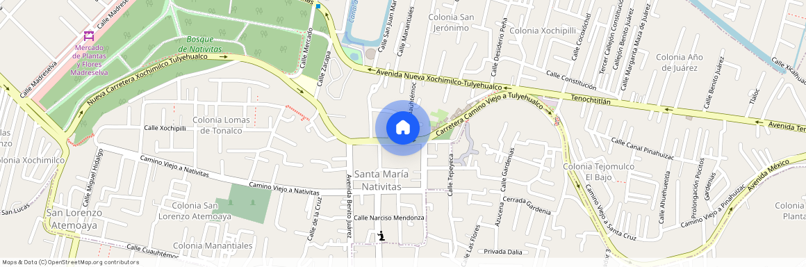 Avenida Hermenegildo Galeana 52, Barrio San Pedro, Xochimilco