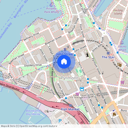 9 Mount Street, NSW 2009, Pyrmont