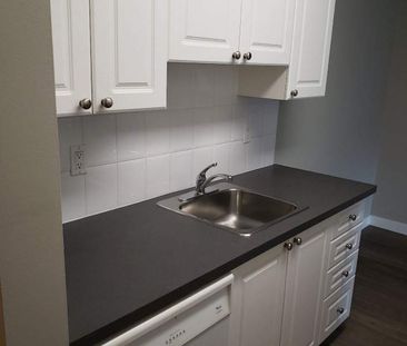 Renovated Suite - 1 Bedroom - Photo 3