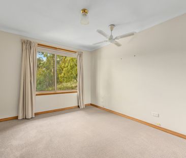 Elevated with Views - Photo 6