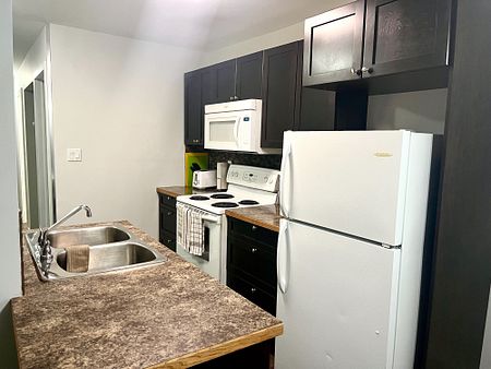 Unit 207, 3811-54 Avenue, Red Deer, AB - Photo 2