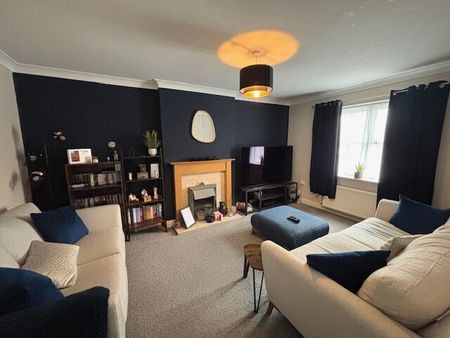 Ostlers Road, Downham Market - Photo 4