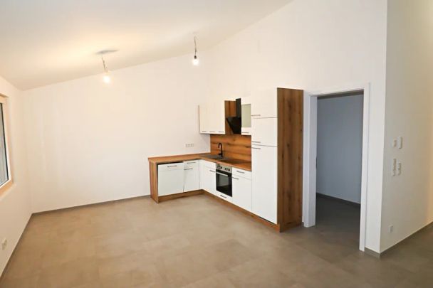 Neubau 2 Zimmer Studio Wohnung mit 82 qm zu vermieten - Foto 1