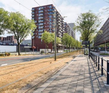Te huur: Appartement Martinus Nijhofflaan in Delft - Photo 1