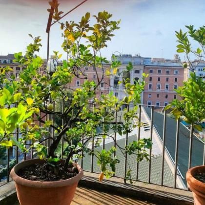Terrace-Piazza del Popolo: Modern, furnished, spacious living room, 2 bedroom, 2 bath, fully equipped kitchen, in private villa. Large panoramic terrace. Sunny, silent, near all. Ref 1208 - Photo 4