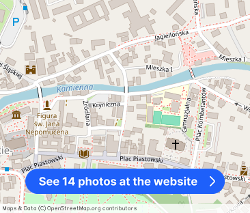 Stylowy Apartament w centrum Uzdrowiska Cieplice - Photo 1