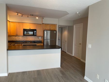 For Lease - 18 Stafford Street Unit# 1102, Toronto, Ontario - Photo 3