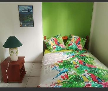 La Trinité - Appartement - F4 en colocation - Photo 1