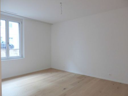 Urban apartment in a new modern building, Wassergasse 53 - Photo 2