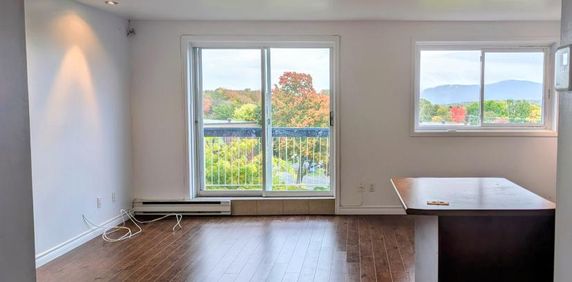 4-1/2 clientèle 50 ans et + tranquille, belle vue. - Photo 2