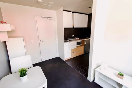 Large 1 Bedroom style 1 - Photo 4