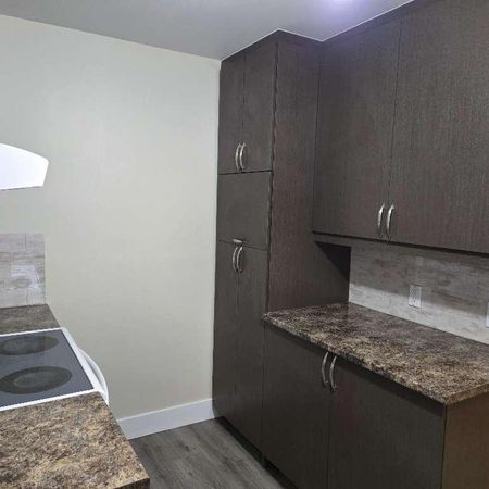 5 1/2 St-Roch Libre - Photo 4