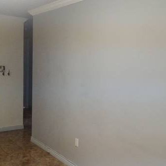 2 bedroom + Family/Living Room in Mt. Pleasant - Photo 4