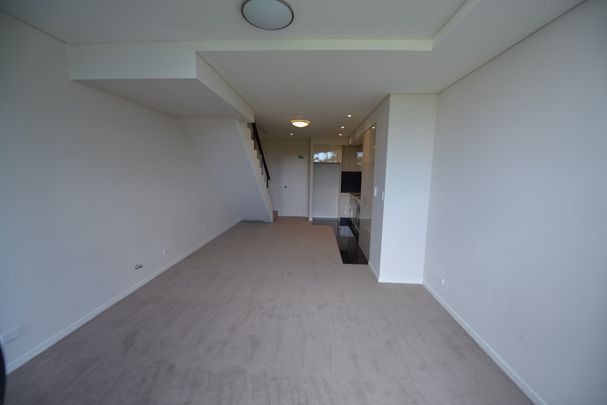 201/1 Lamond Lane, Zetland - Photo 1