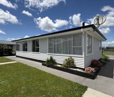 Newly Renovated Sunny & Spacious 3 bedroom Home - Photo 1