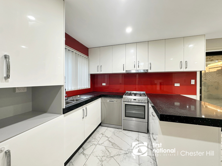 Spacious 4-Bedroom + Study Duplex with Swim Spa in Georges Hall - Photo 3