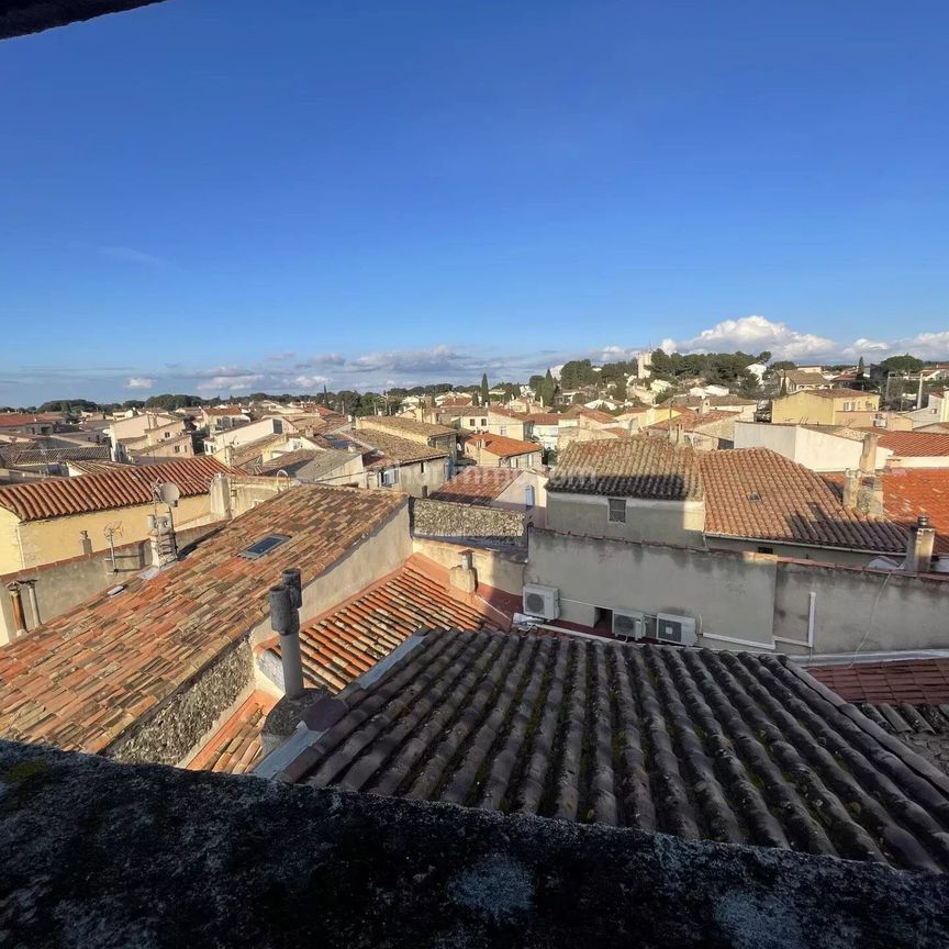 Location Duplex 1 pièces 20 m2 à Saint-Mitre-les-Remparts - Photo 1