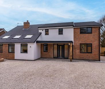 5 bedroom House To Let - Photo 6