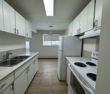 Updated 1 Bed Suite | Pet Friendly | In-Suite Laundry - Photo 4