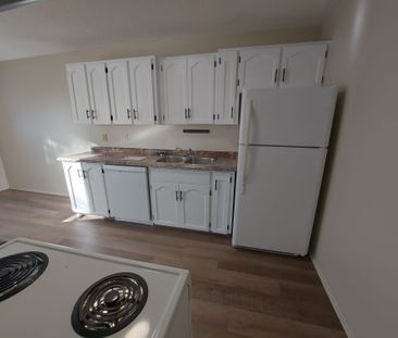 Newly Renovated Duplex, The Ultimate Family Home! - Photo 6