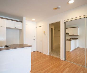 1 CH - 1 SDB - Saint-Charles-Borromée - $1,145 /mo - Photo 3