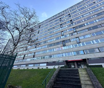 Location appartement 1 pièce 42.63 m² à Croix (59170) - Photo 4