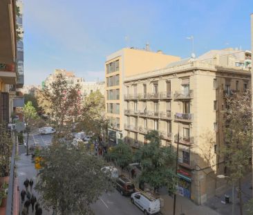 3-bedroom apartment for rent in El Fort Pienc, professionals only - Foto 6