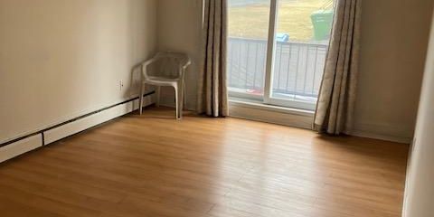 Alouer 3 1/2 Anjou - Photo 3