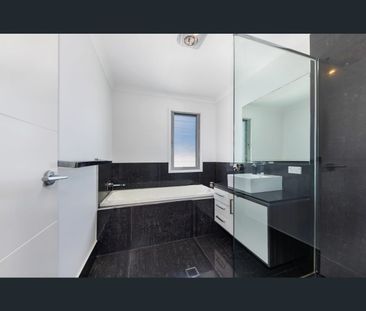 16 Pangali Cct, Birtinya, Qld 4575 - Photo 5