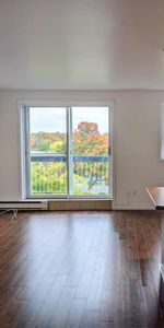 4-1/2 clientèle 50 et plus tranquille belle vue, fraichement peinturer - Photo 3