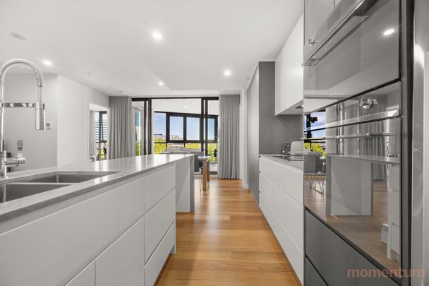 314/2 Batman Street, Braddon ACT 2612 - Apartment For Rent | Domain - Photo 1