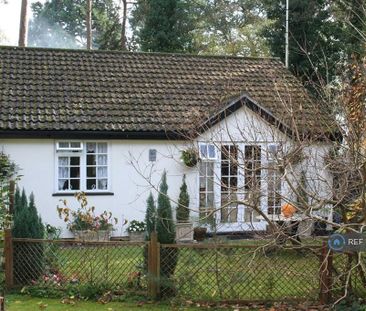 2 bedroom bungalow to rent - Photo 4