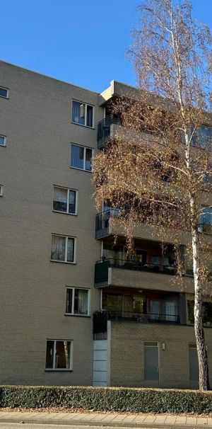 Appartement Victoriagang 108, Zoetermeer - À louer - Photo 1