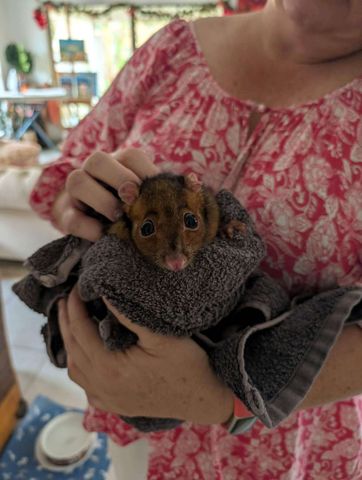 Maroochydore - Photo 4