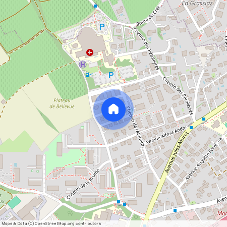 1110, Morges, Fauvette, 6