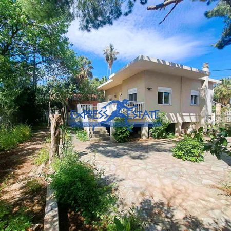Μονοκατοικία για ενοικίαση - Νέα Μάκρη - Photo 5