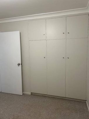 CENTRAL LOCATION - Photo 1