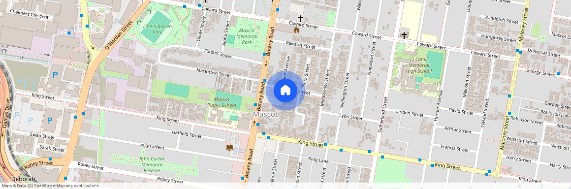 12 Tunbridge Street, NSW 2020, Mascot