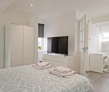 Pointers Close - Photo 5