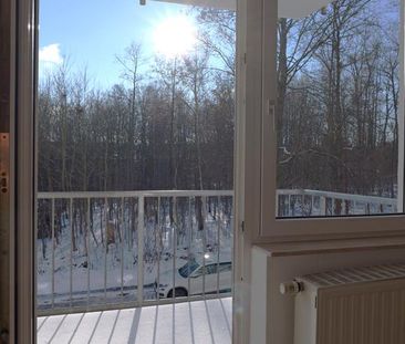 Wunderbar ruhige Lage – 2 Zimmer mit Balkon & Tiefgarage im Grünen - Photo 4