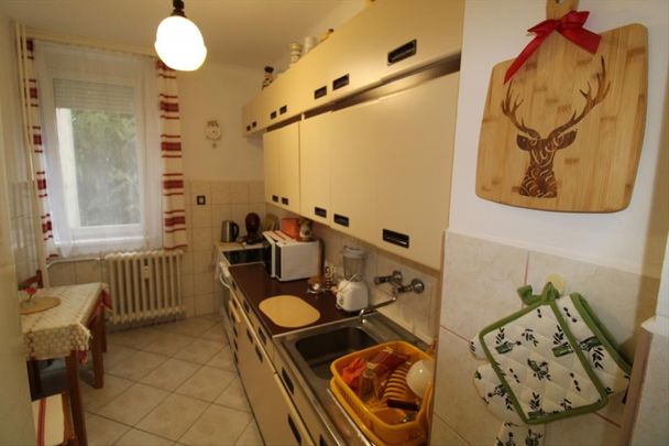 Kiadó jó állapotú lakás - Salgótarján - Photo 1