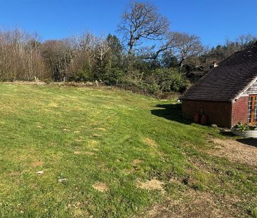 3 bedroom detached house to rent - Photo 5